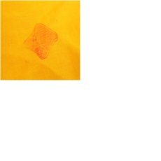 画像7: 萬古焼　三藤窯　賢豊造　色絵干支巳茶碗（箱付） (7)