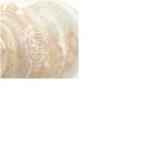 画像7: 京焼　浅見与し三造　柿の絵茶碗（箱付） (7)