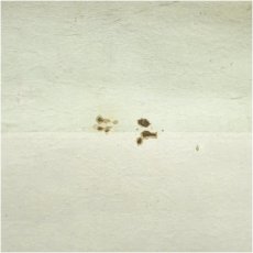 画像5: 作家物　扇面　肉筆紙本掛軸 (5)