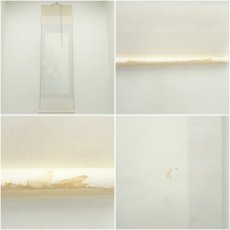 画像9: 郡賜泉筆　夕顔　肉筆絹本掛軸（共箱） (9)