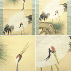 画像6: 圭倖筆　松上双鶴　肉筆絹本掛軸 (6)