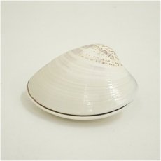 画像2: 源氏絵蛤香合（共箱） (2)