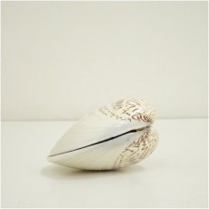 画像4: 源氏絵蛤香合（共箱） (4)