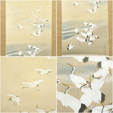 画像6: 雪洲筆　百鶴之図　肉筆絹本掛軸（共箱） (6)