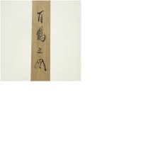 画像9: 雪洲筆　百鶴之図　肉筆絹本掛軸（共箱） (9)