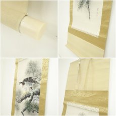 画像7: 厳生筆　松上鷹　肉筆絹本掛軸（紙箱） (7)