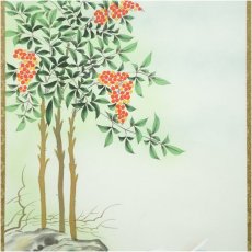 画像4: 尾崎春秋筆　南天福寿に白兎　肉筆絹本掛軸（紙箱） (4)