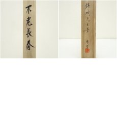 画像10: 錦城筆　不老長春　松上小禽　肉筆絹本掛軸（中島清堂識箱） (10)