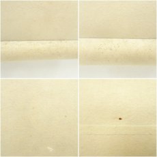 画像11: 春秋筆　南天松竹梅蛇神図　肉筆絹本掛軸（共箱） (11)