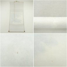 画像7: 清甫筆　長寿松　肉筆絹本掛軸（共箱） (7)