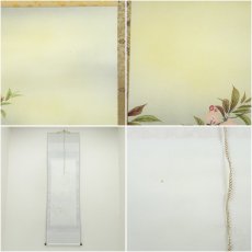 画像8: 小川香月筆　桜花爛漫　肉筆絹本掛軸（紙箱） (8)