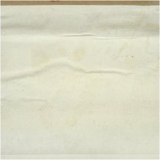 画像5: 松文筆　鳥語花香　花鳥図　肉筆絹本掛軸 (5)