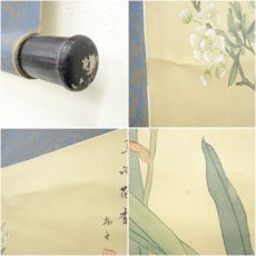 画像7: 松文筆　鳥語花香　花鳥図　肉筆絹本掛軸 (7)
