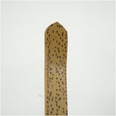 画像4: 正眼寺　谷耕月造　竹茶杓（銘：錦秋）（黒田宗博下削）（共箱） (4)