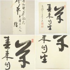 画像8: 官休庵　千澄子画など　色紙　2枚セット (8)