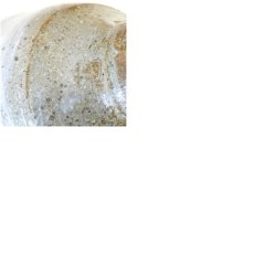 画像7: 作家物　刷毛目茶碗（保護箱） (7)