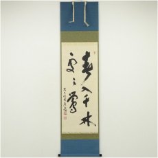 画像1: 前大徳　福本積應筆　「春入千林處々鶯」一行書　肉筆紙本掛軸（共箱） (1)