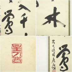画像6: 前大徳　福本積應筆　「春入千林處々鶯」一行書　肉筆紙本掛軸（共箱） (6)