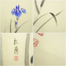 画像7: 前大徳　福本積應筆　「薫風」　松陽筆　菖蒲画賛　肉筆紙本掛軸（共箱） (7)