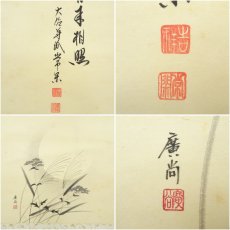 画像6: 大徳寺派　辻常閑筆　「明月来相照」横物　廣尚筆　すすき画賛　肉筆紙本掛軸（共箱） (6)