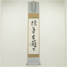 画像1: 堀内家十二代　兼中斎（宗完）筆　「採菊東籬下」一行書　肉筆紙本掛軸（保護箱） (1)