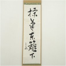 画像2: 堀内家十二代　兼中斎（宗完）筆　「採菊東籬下」一行書　肉筆紙本掛軸（保護箱） (2)