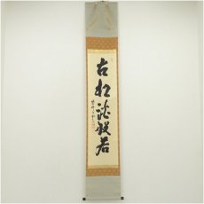 画像1: 大徳寺　三重野与雲（荊山）筆　「古松談般若」一行書　肉筆紙本掛軸（共箱） (1)