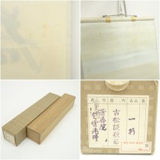 画像9: 大徳寺　三重野与雲（荊山）筆　「古松談般若」一行書　肉筆紙本掛軸（共箱） (9)