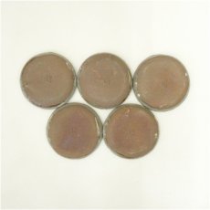 画像4: 萩焼　吉賀将夫造　糸切皿5客（共箱） (4)