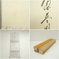 画像7: 前大徳　矢野一甫（海渕・宗深）筆　「福運招来」花画賛　肉筆紙本掛軸（共箱） (7)