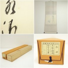 画像8: 前大徳　矢野一甫（海渕・宗深）筆　「白雲流水清」朝顔画賛　肉筆紙本掛軸（共箱） (8)