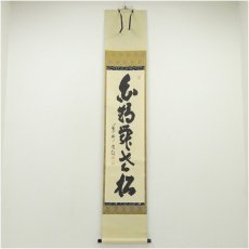 画像1: 大徳寺　細合喝堂筆　「白鶴舞老松」一行書　肉筆紙本掛軸（共箱） (1)