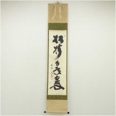 画像1: 大徳寺　小林太玄筆　「松樹千年翠」一行書　肉筆紙本掛軸（共箱） (1)