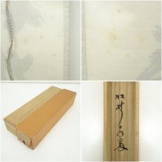 画像9: 大徳寺　小林太玄筆　「松樹千年翠」一行書　肉筆紙本掛軸（共箱） (9)