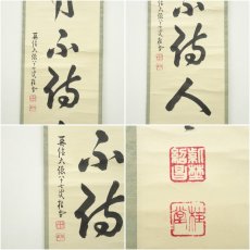 画像6: 大徳寺　吉口桂堂筆　「歳月不待人」一行書　肉筆紙本掛軸（共箱） (6)
