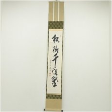 画像1: 西大寺　松本実道筆　「松樹千年翠」一行書　肉筆紙本掛軸（共箱） (1)