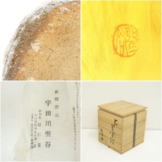 画像7: 萩焼　宇田川聖谷造　耳付水指（共箱） (7)