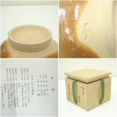 画像7: 楽山窯造　清水日呂志　干支辰御本茶碗（共箱） (7)