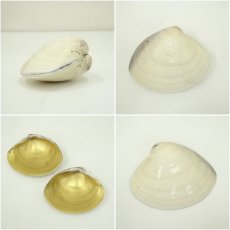 画像6: 翠松造　蛤香合（共箱） (6)