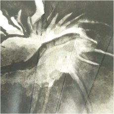 画像4: 富士・龍　印刷飾扇子2点（箱付） (4)