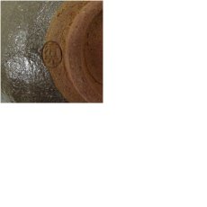 画像7: 清光造　菖蒲絵茶碗（保護箱） (7)