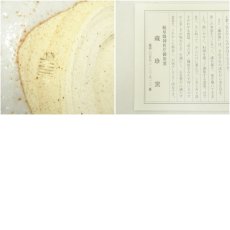 画像7: 作家物　絵志野茶碗（箱付） (7)