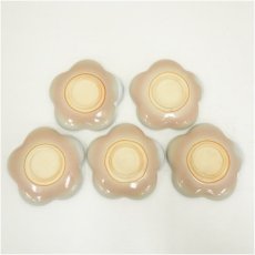 画像3: 萩焼　天鵬山造　広瀬淡雅　銘々皿5客（共箱） (3)