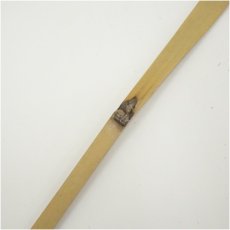 画像4: 竹茶杓（共箱） (4)