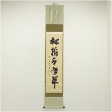 画像1: 前大徳　藤井誡堂筆　「松樹千年翠」一行書　肉筆紙本掛軸（共箱） (1)