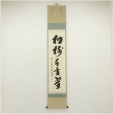 画像1: 前大徳　福本積應筆　「松樹千年翠」一行書　肉筆紙本掛軸（共箱） (1)