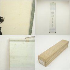 画像8: 前大徳　福本積應筆　「松樹千年翠」一行書　肉筆紙本掛軸（共箱） (8)