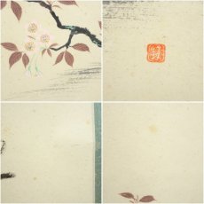画像7: 前大徳　佐藤朴堂筆　「柳深花紅」竹林筆　桜画賛　肉筆紙本掛軸（共箱） (7)