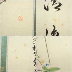 画像7: 前大徳　橋本紹尚筆　「五月晴」晶子筆　朝顔画賛　肉筆紙本掛軸（共箱） (7)