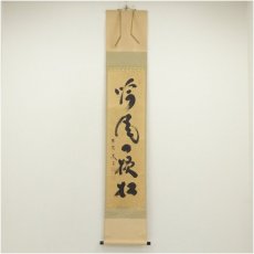 画像1: 大徳寺　小林太玄筆　「吟風一様松」一行書　肉筆紙本掛軸（共箱） (1)